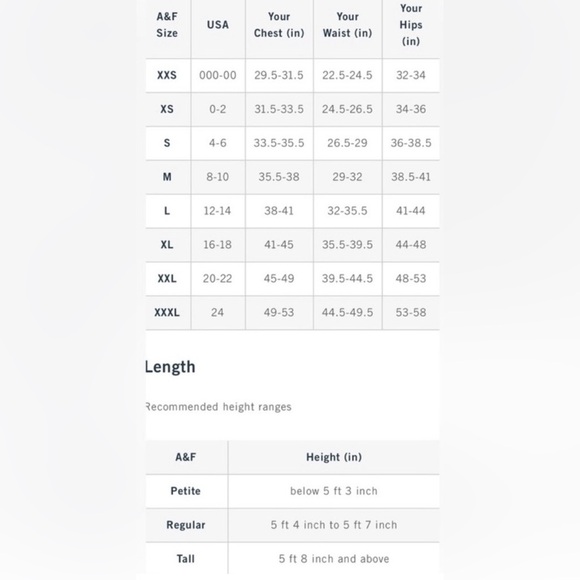 Abercrombie & Fitch Paloma Dark Green Long Sleeve Velvet Dress • M • NWT - Picture 8 of 8